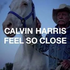 Calvin Harrys - Feel So Close ( Dirty Dutch Mix)