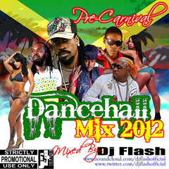 Dancehall Carnival Warm Up 2012 Mixed By Dj Flash