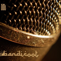 Bandicoot - Du Sel