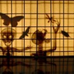 Dark Animation (OmbreEstLumière - 2006)