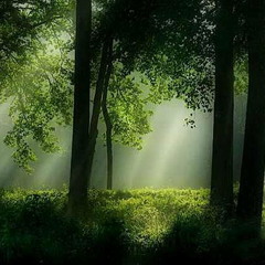 Feesh - Light in the Everfree