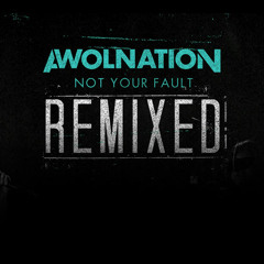 AWOLNATION - Not Your Fault (Fergus Grant Remix)