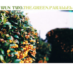 the.green.parallel(beat.tape.2012)