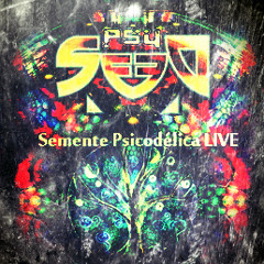 Semente Psicodelica - Começa Como Termina [113 BPM em composição...]