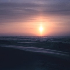 Reza Shah - Perserverance (unkwnprdcr)