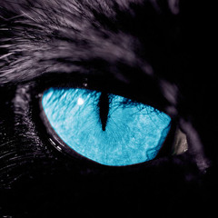 Suicide Sniper - Main Metal