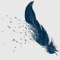 Birds of a Feather (Declan O' Rourke)