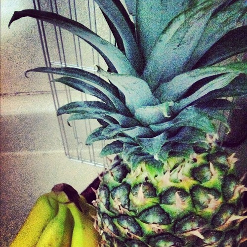 Last Time ( Channels )