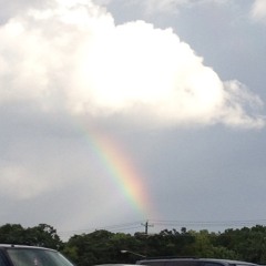 Blame it on the Rain (Remix)