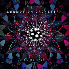 Submotion Orchestra - Blind Spot (Radio Edit)