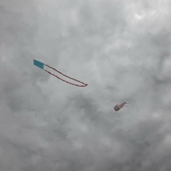 Windsample 2 - Lido/Venetië