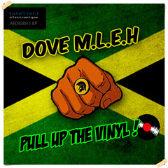 Dove M.LE.H "Pull up the Vinyl" (Atelier Electronique / Cosa Nostra Shop)