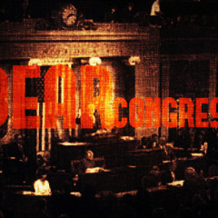 CAMERIINO - Dear Congress