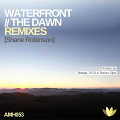 Shane Robinson - Waterfront