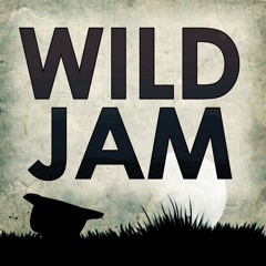 Wild Jam - Colère Bleue