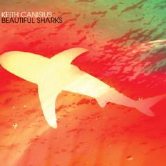 6. Save The Sharks