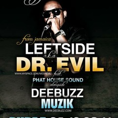 12 Years DeeBuzz - Leftside aka Dr Evil Special
