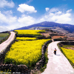 ၀ိုင္းစုခိုင္သိန္း....လမ္းမၾကီးရဲ.ေဘး
