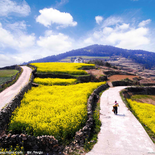 ၀ိုင္းစုခိုင္သိန္း....လမ္းမၾကီးရဲ.ေဘး