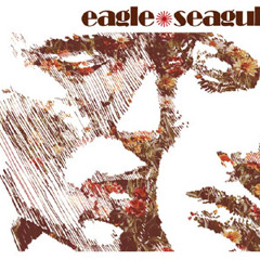 Eagle Seagull - Eagle Seagull - Photograph