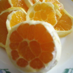 03 Eu te amo (Chico Buarque)