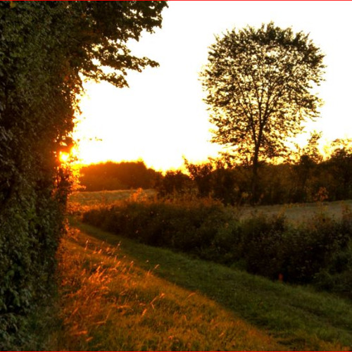 Lovvarion - AnEveningInTheFields (SteelTongueDrumMeditation) (improved)