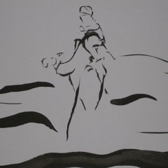 La marche du dromadaire