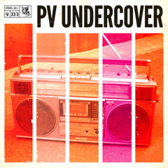 Boxer - Surfwax America (Weezer)