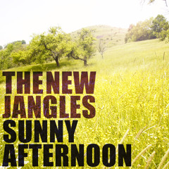 Sunny Afternoon (Cover) - The New Jangles