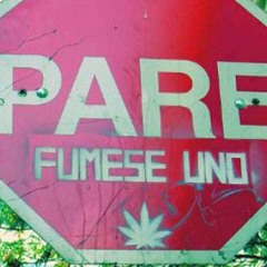 Son falsos - FranWeed,basta,pity[1]