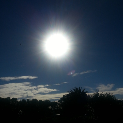 One Fine Day (Not Alone)