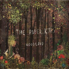 The Paper Kites - Arms