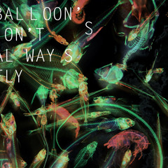 Ballons Dont Always Fly (Zadeh Remix)