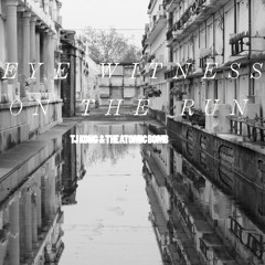 Eye Witness on the Run