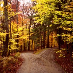 Rachel & Antoine - The Road Not Taken (Poem by Robert Frost)