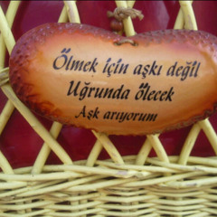 Baha - Gülü susuz seni aşksız birakmam ..