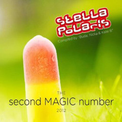 Sunshine Reggae (Visti & Meyland's Stella Polaris Remix)