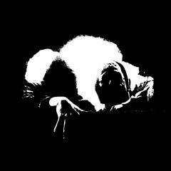 SUSPICIOUS STENCH - ARCUS (Free Tune)