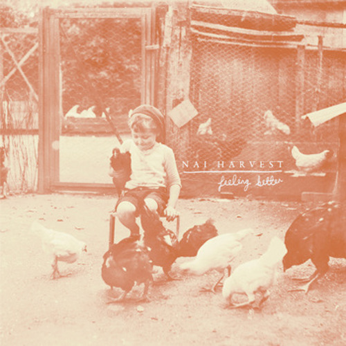 Nai Harvest - The bikes & the basement