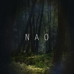 Nao - Brave