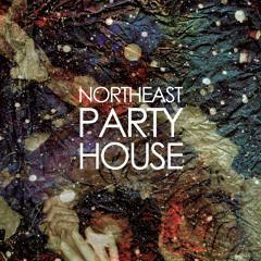 Empires - Northeast Party House (theMusic Sessions video)