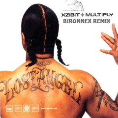 Xzibit - Multiply Bironnex Remix Demo