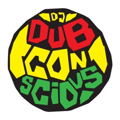 Skankin' & Rockin' - Summer 2012 Promo Mix
