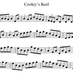 DJ BoneBreaker - Cooley`s Reel [Preview 2 - Work In Progress]