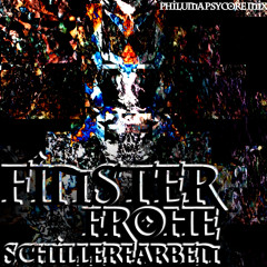 Philuma - Finsterfrohe Schillerfarben (Liquid Trip Festival MindcatcherMix)