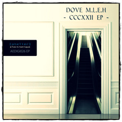 Dove M.L.E.H - 322 (atelier Electronique)