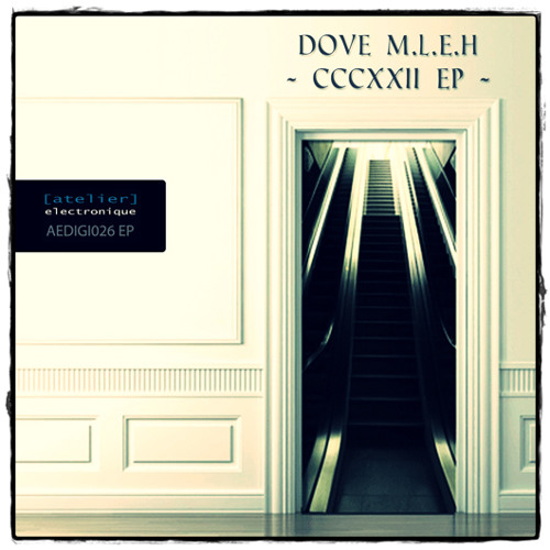 Dove M.L.E.H - 322 (atelier Electronique)