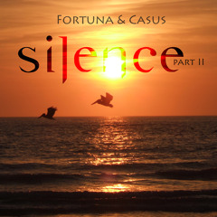 Fortuna & Casus - Silence (Part II)