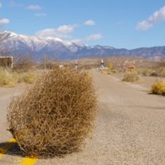 Tumbleweed Wind (original)