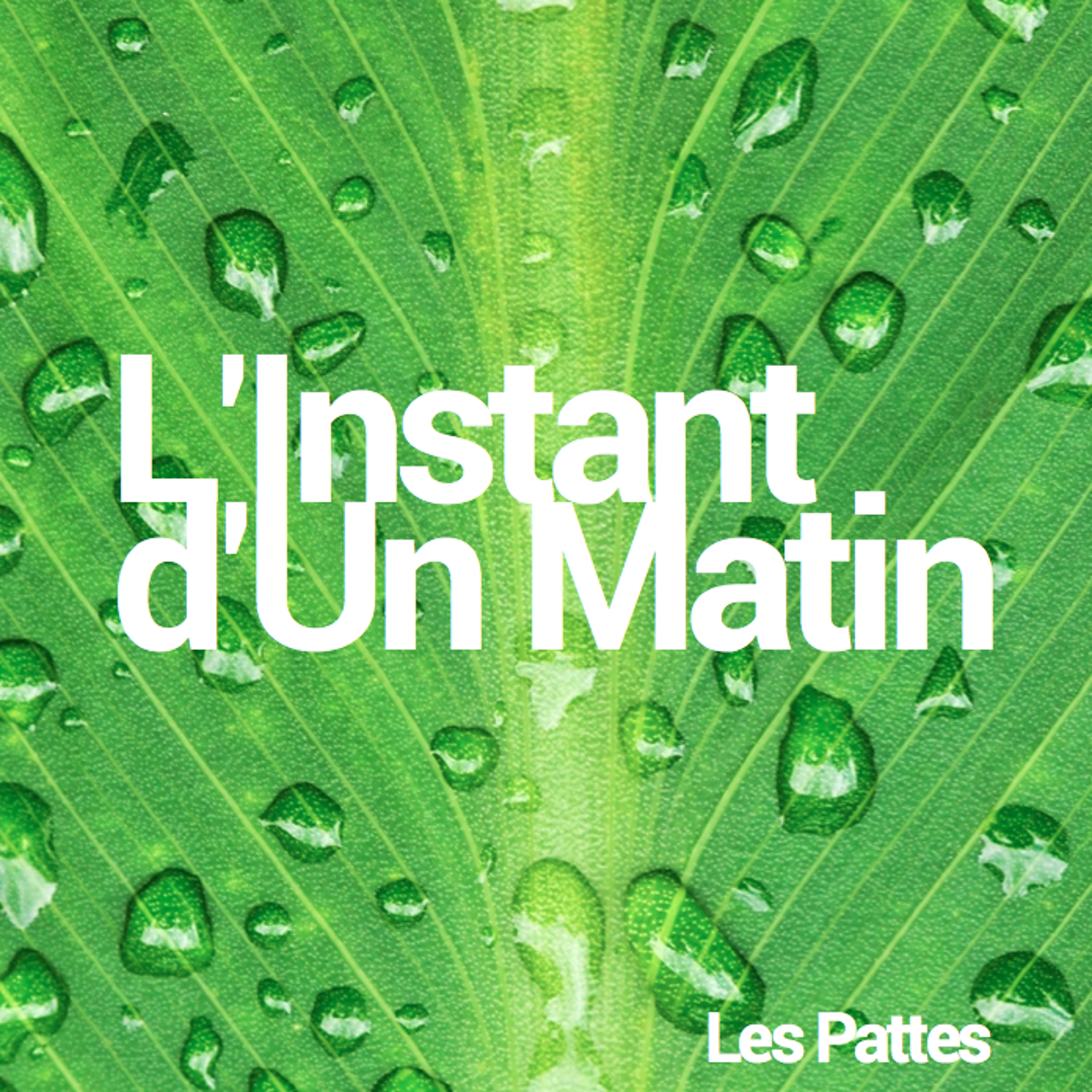 Les Pattes